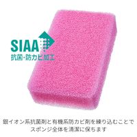 （季節限定）亀の子スポンジ スタンダード 角型 キッチンスポンジ 抗菌・防カビ加工 ツバキ 1個 亀の子束子
