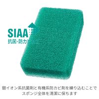 （季節限定）亀の子スポンジ スタンダード 角型 キッチンスポンジ 抗菌・防カビ加工 マツ 1個 亀の子束子