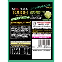 グミ 食べきりサイズ タフグミ　バウンシーマスカット 1セット（1個×12）
