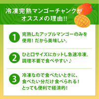 よくばり冷凍完熟マンゴーセット1kg(500g×2袋)　冷凍マンゴー　冷凍食品（直送品）