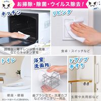 激落ちくん ウイルス除去 ウエットシート 1パック（30枚入） レック