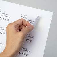 アスクル マルチプリンタ ラベルシール  ミシン目【なし】 24面 上下余白付 A4 FSC認証 1セット（100シート入×5袋） オリジナル