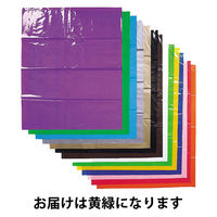 日幼 カラービニパック 黄緑 1セット（100枚：20枚×5袋）