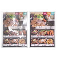 両面マット加工 ラミネートフィルム A4 1パック（100枚入り） 日本エフ・ディー・シー