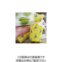 Francoise PAVIOT ナプキン 40×40 20枚入 BIRDS 954109 1セット(80枚:20枚×4セット)（直送品）