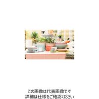 杉田エース プレイスマット オレンジ&ブラウン 955507 1セット(2枚)（直送品）