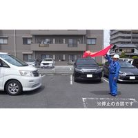 エスコ 900x1100mm 大旗(ハンドル付/蛍光レッド) EA916XL-21 1セット(4個)（直送品）