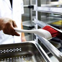 エスコ 25x350mm ハンドブラシ(青) EA928AJ-271 1セット(5個)（直送品）