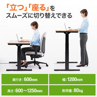 サンワサプライ 電動昇降デスク(幅1200mm・薄い木目) ERD-C12060LM 1台（直送品）