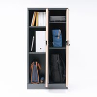 サンワサプライ 縦型パーソナルロッカー2列タイプ PLK-TWT2H120LM 1台（直送品）