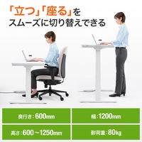 サンワサプライ 電動昇降デスク(幅1200mm・ホワイト) ERD-C12060W 1台（直送品）