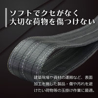 フリーク FREAK CEベルトスリングE型 使用荷重3150kg 幅100mm 長さ3m 65508 1本（直送品）