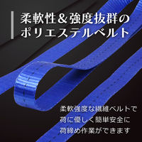フリーク FREAK ラッシングベルト青 エンドレス0.75ton 幅25mm×長さ4m 75045 1本（直送品）