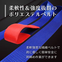 フリーク FREAK ラッシングベルト青 アイ5ton 幅75mm×長さ1+9m 75192 1本（直送品）