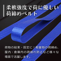 フリーク FREAK 荷締めベルト青 エンドレス250kg 幅25mm×長さ6m 1セット(10本) 75017