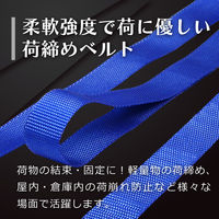 フリーク FREAK 荷締めベルト青 エンドレス50kg 幅25mm×長さ2m 1セット(10本) 75001