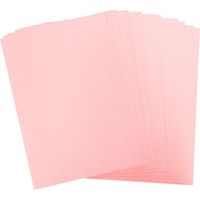 ニッケン文具 PPCカラー用紙 A4 100枚 ピンク NKK-4 1セット(5冊)