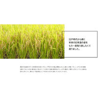 沢の鶴　米だけの酒　パック　900ml  1本　日本酒