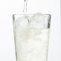 神の泉　原酒　720ml　1本　東亜酒造 日本酒