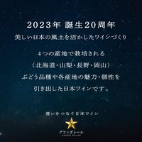 グランポレール エスプリ・ド・ヴァン・ジャポネ 絢 AYA 赤ワイン ライトボディ 720ml 1本