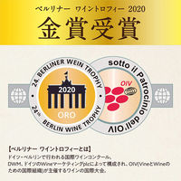 イタリア ヴィッラ サンディ プロセッコ DOC　スパークリングワイン 白　辛口　750ml 1本　サントリー