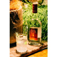 ディタ ライチ リキュール 21度 700ml 1本 フランス 上品な甘みと香りが魅力 柑橘類のカクテルに ギフト ペルノ・リカール