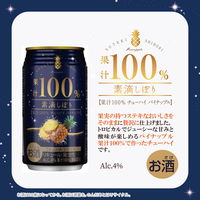 チューハイ 素滴しぼり 果汁100% パイン 350ml 2ケース（48本） パインサワー 酎ハイ