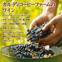 【カルディコーヒーファーム】スペイン　ポエマ エクストラ・ドライ　スパークリングワイン　白　辛口　750ml　1本　カバ　カヴァ