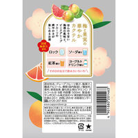 ウメカク 果実仕立ての梅酒カクテル ピンクグレープフルーツ 500ml 1本　サッポロ　リキュール