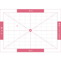 アルゼンチン　サンタ・アナ クラシック カベルネ・ソーヴィニヨン　赤ワイン　ライトボディ 750ml 1本 日本酒類販売