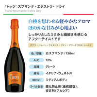 イタリアスパークリングワイン＆フリッツァンテ4本セット 1セット（750ml×4本）　モンテ物産