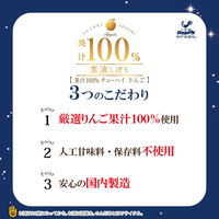 チューハイ　素滴しぼり 果汁100%　りんご　350ml　2ケース(48本)　りんごサワー　酎ハイ