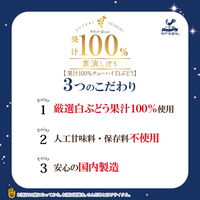 チューハイ 素滴しぼり 果汁100% 白ぶどう 350ml 1ケース(24本) 白ぶどうサワー 酎ハイ