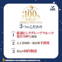 チューハイ 素滴しぼり 果汁100% ピンクグレープフルーツ 350ml 1ケース（24本入） ピンクグレープフルーツサワー 酎ハイ