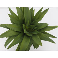 【食品サンプル】 果物専科 パイナップル 3036 日本サンプル 1個（直送品）