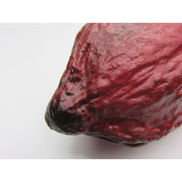 【食品サンプル】 果物専科 カカオの実 A 紫 3069 日本サンプル 1個（直送品）