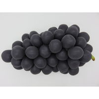 【食品サンプル】 果物専科 巨峰 3009 日本サンプル 1個（直送品）