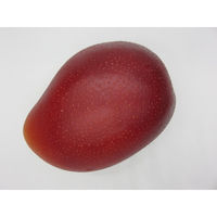 【食品サンプル】 果物専科 国産完熟マンゴ 3029 日本サンプル 1個（直送品）