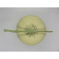 【食品サンプル】 果物専科 マスクメロン(大) 3001 日本サンプル 1個（直送品）