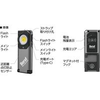 イチネンアクセス ワイヤレスチャージライト BWL-WC1001RL 87253 1個（直送品）