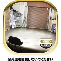 カワシマ盛工 ゼフルス LED投光器 モンスターライト ZA-US100 1個