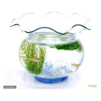 （水草）国産　無農薬マツモ（5本） 【北海道・九州・沖縄・離島配送不可】【納品日指定必須】（直送品）