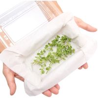 （水草）バコパ　オーストラリス（水上葉）（無農薬）（１０本） 【北海道・九州・沖縄・離島配送不可】【納品日指定必須】（直送品）