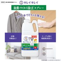 キレイキレイ 除菌・ウイルス除去スプレー 2L 業務用詰め替え 大容量 ライオン