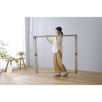 アイリスオーヤマ 大容量ふとん干し BCSX-230 1台