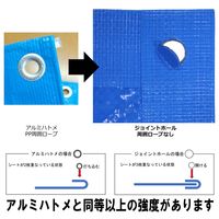 萩原工業 ターピー エコフレンド#3，000 小畳 5.4m×5.4m ブルー 01605 1枚（直送品）