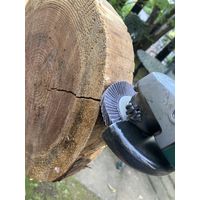 イチグチ 研磨屋さん 木工曲面用 サンドペーパー #60 ディスクグラインダー用 63013 1セット(2個)（直送品）