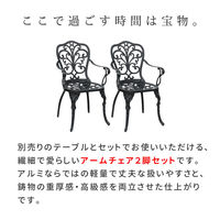 住まいスタイル アルミ製アームチェア 2脚セット 「トルペ」 BKS-C5289-2P-BLK 1セット（直送品）