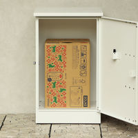 MOJYU レンツォ 宅配ボックス ホワイト/ホワイトアッシュ木目 1台（直送品）