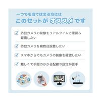 ワイヤレス300万画素防犯カメラ(1台)・録画機 (HD500GB付)・15.6インチモニターセット SEC-W-M1CH-16L-500（直送品）